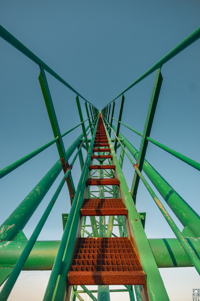 grue caillard 1 1